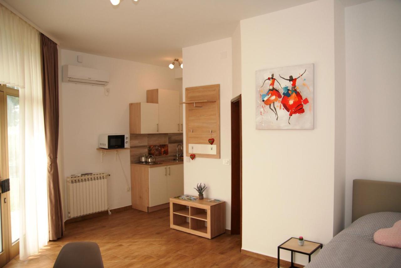 Studio Apartmani Toplicka Bajka 크레핀스키타플리스 외부 사진